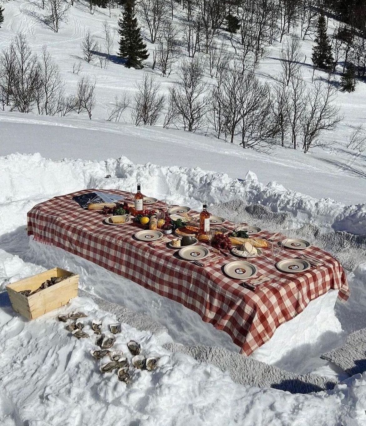 An outdoor dinner party with a long table built entirely of snow.