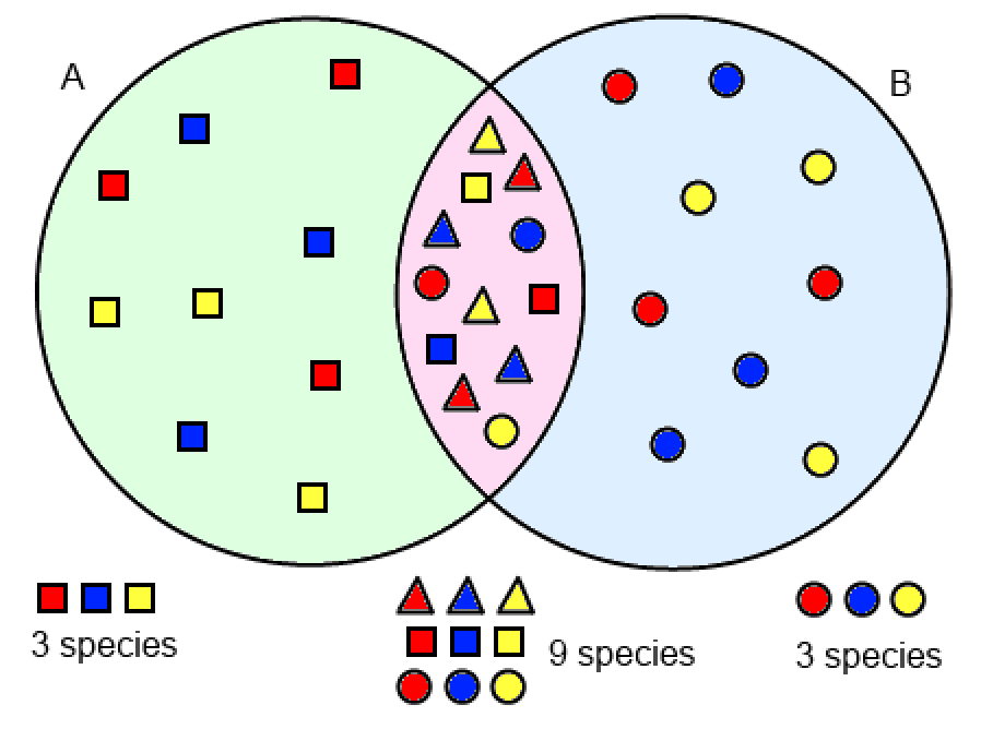 A diagram illustrating the ecological edge effect.